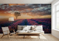 Golden sunrise lights vast purple farmland wall mural