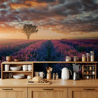 Soft sunrise tones over countryside wall mural