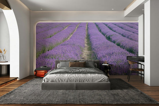 Lavender Dreams Wall Mural featuring a peaceful lavender field

