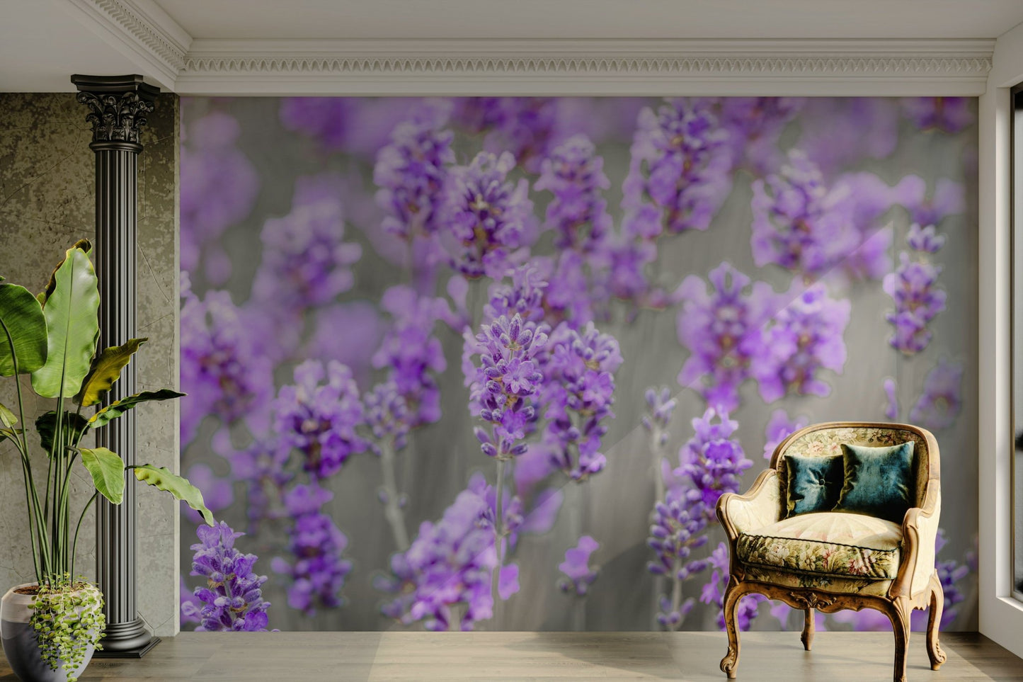 a vast field of lavender

