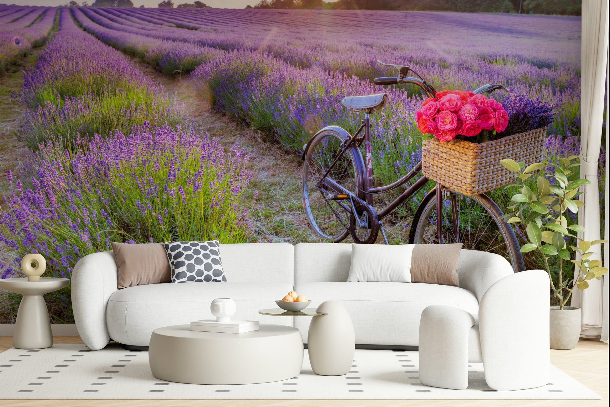 Aromatic purple rows, Bicycle in a Lavender Field, unique nature home decor.
