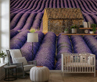 Floral lavender wall covering bringing a tranquil, fragrant garden vibe indoors.