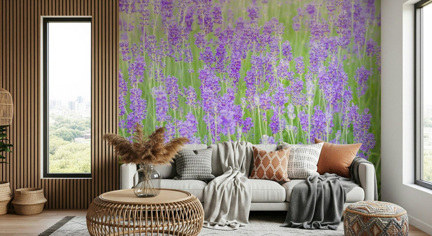 Elegant purple botanical wallpaper, the Lavender Field Dream collection.