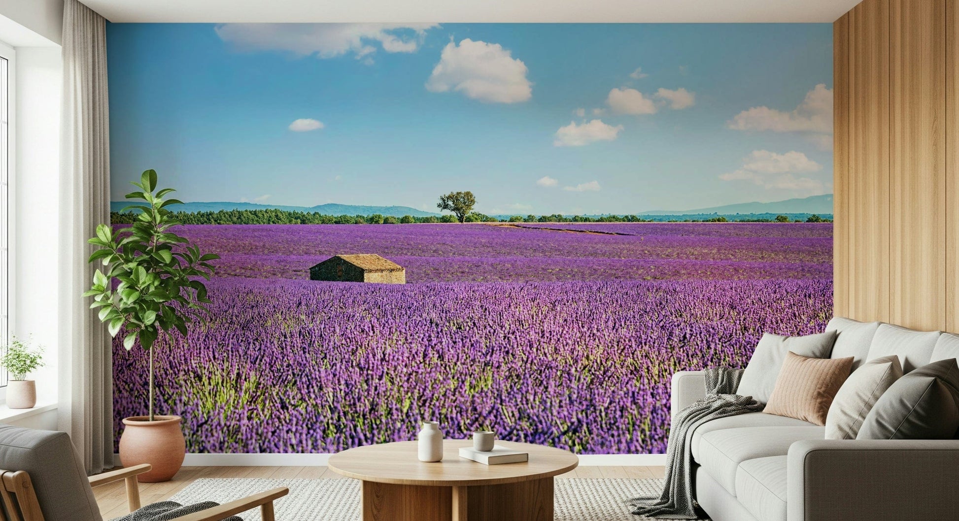Elegant Provence landscape wall mural for home interiors
