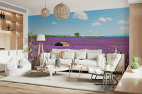 Wall mural featuring Provence scenery and open farmland