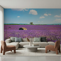 Nature inspired Provence wall mural for living room walls