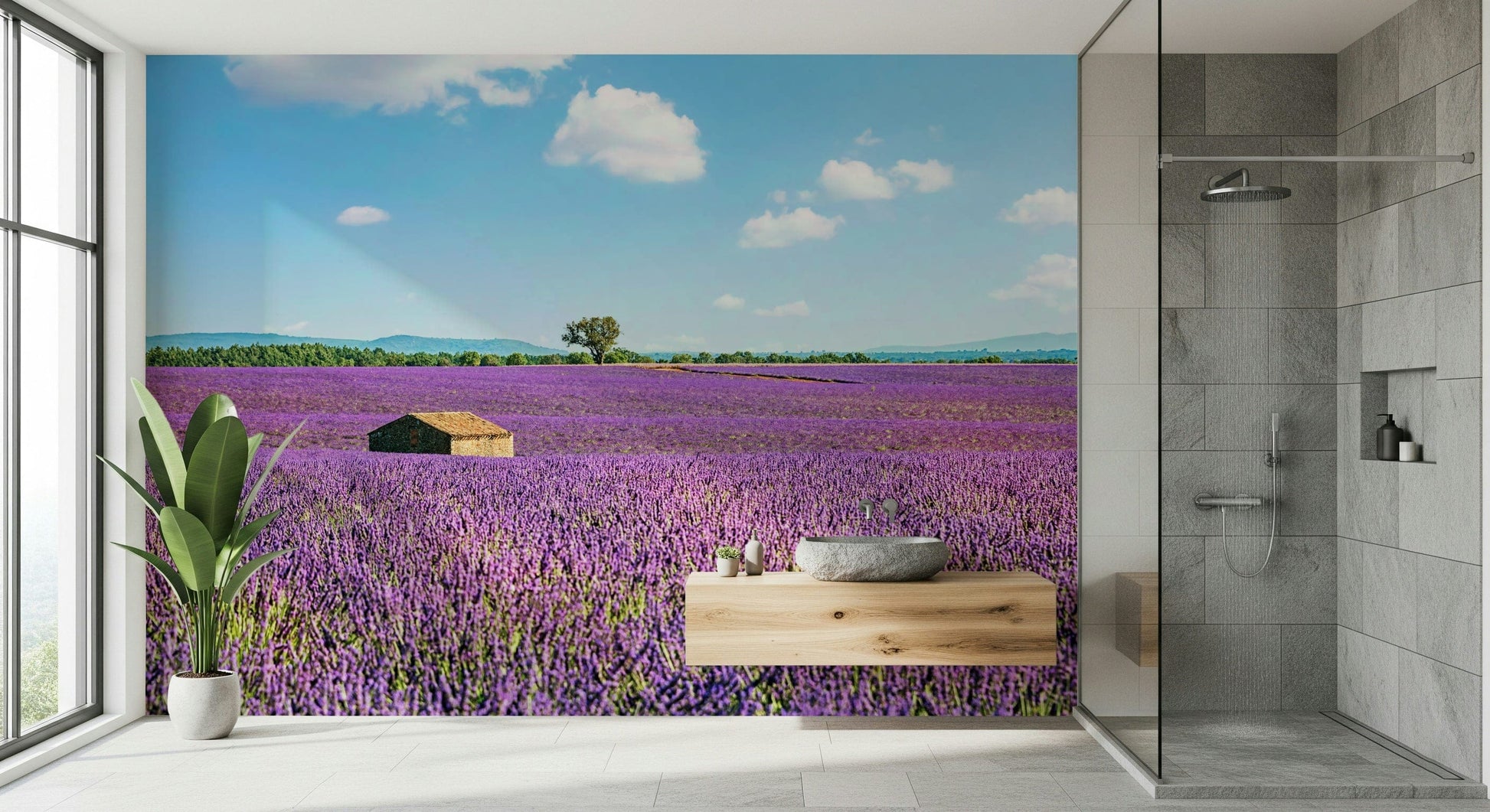 Provence landscape wall mural with lavender fields and rolling hills