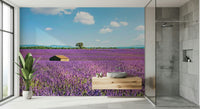 Provence landscape wall mural with lavender fields and rolling hills