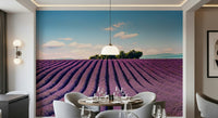 Lavender field wall mural in modern living room, purple color tones, feature wall decor