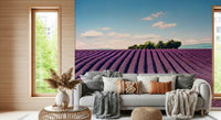 Purple lavender field mural in apartment dining area, scenic wall decor, feature wall