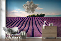 Provence's Purple Haze Wall Mural in bedroom, lavender rows, calm color palette