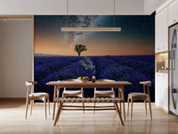 Starry sky wall mural frames modern dining