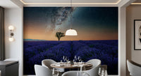 Countryside night wall mural defines space