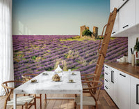 Gorgeous Lavender Field Sunset wallpaper for walls, idyllic floral landscape.
