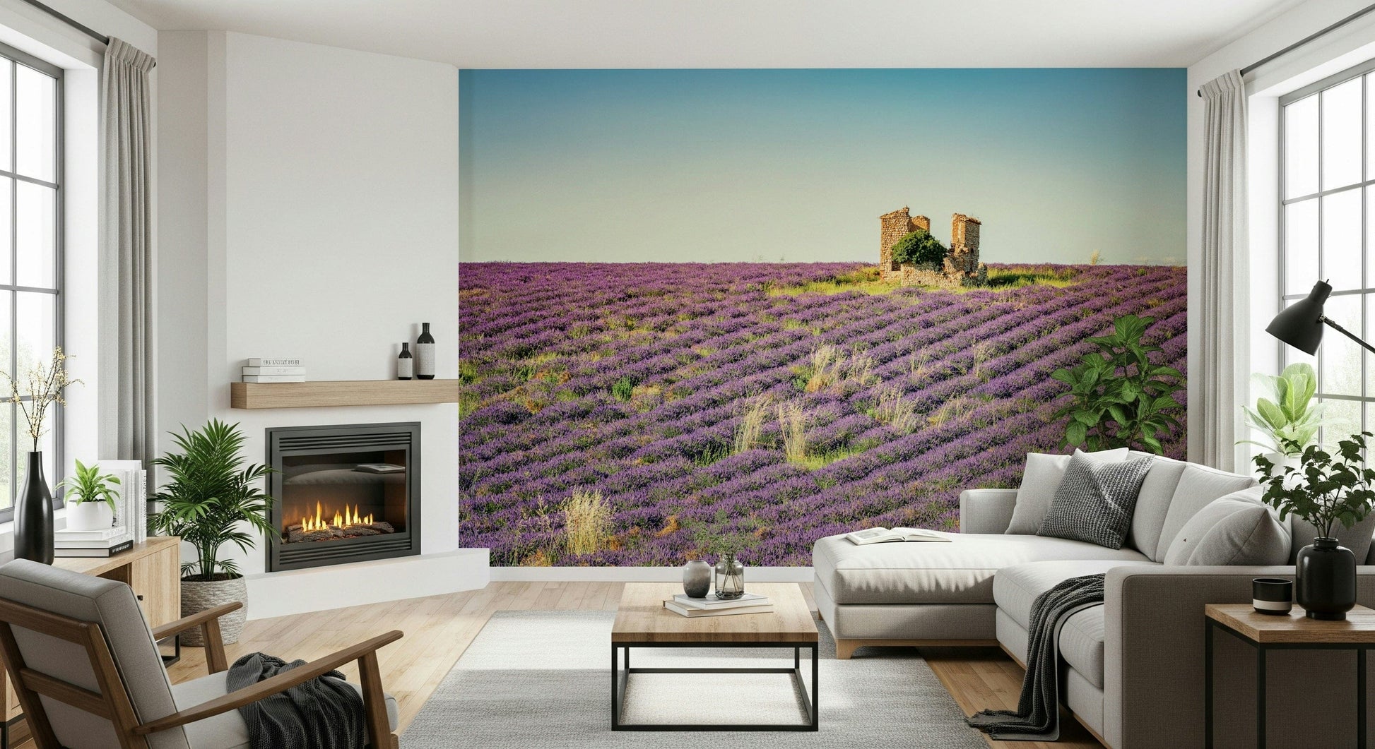Dreamy Lavender Field Sunset wallpaper for walls, sweeping purple flower lines.