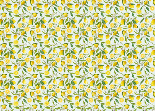 キッチンレモンデザインの壁紙壁画