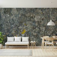 Lichen Rock Wall Mural — detailed stone textures with green and gray lichen patterns.