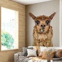 Inviting and comforting aesthetic.

