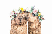 Wall decor evoking happiness and a love for animals.

