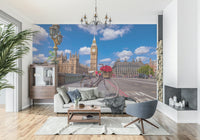 Red Blooms in London feature wall mural red roses cycle.
