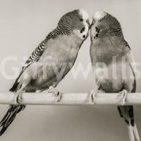 Elegant Lovebirds on a Perch removable wallpaper perfect for nursery interior styling.
