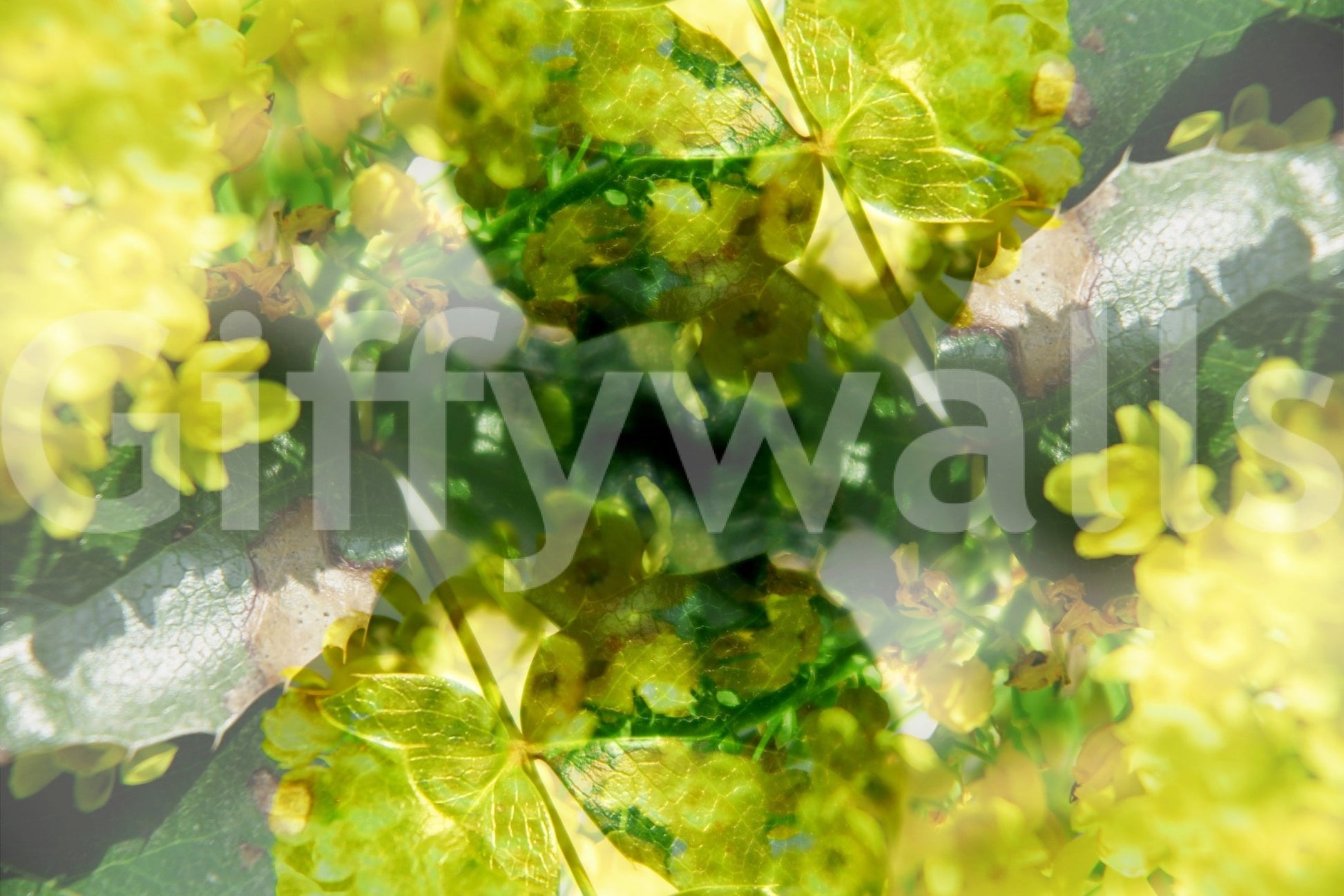 Calm botanical design for interiors
