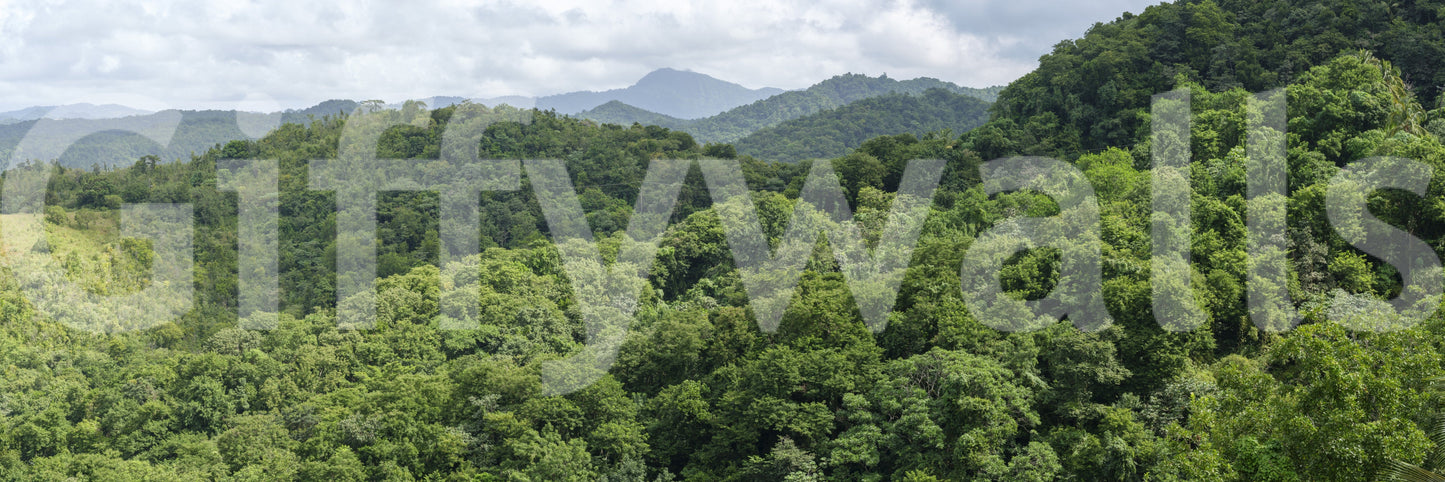 A high-quality minimalist wall mural for walls.

