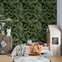 The leaves are large and detailed, with a mix of light and dark green tones.
