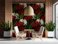 Lycoris Noir Midnight Romance white red flowers bloom Wall Mural