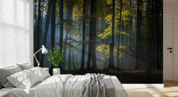 Artistic delicate light on Glimmering Forest Woodland wallpaper.