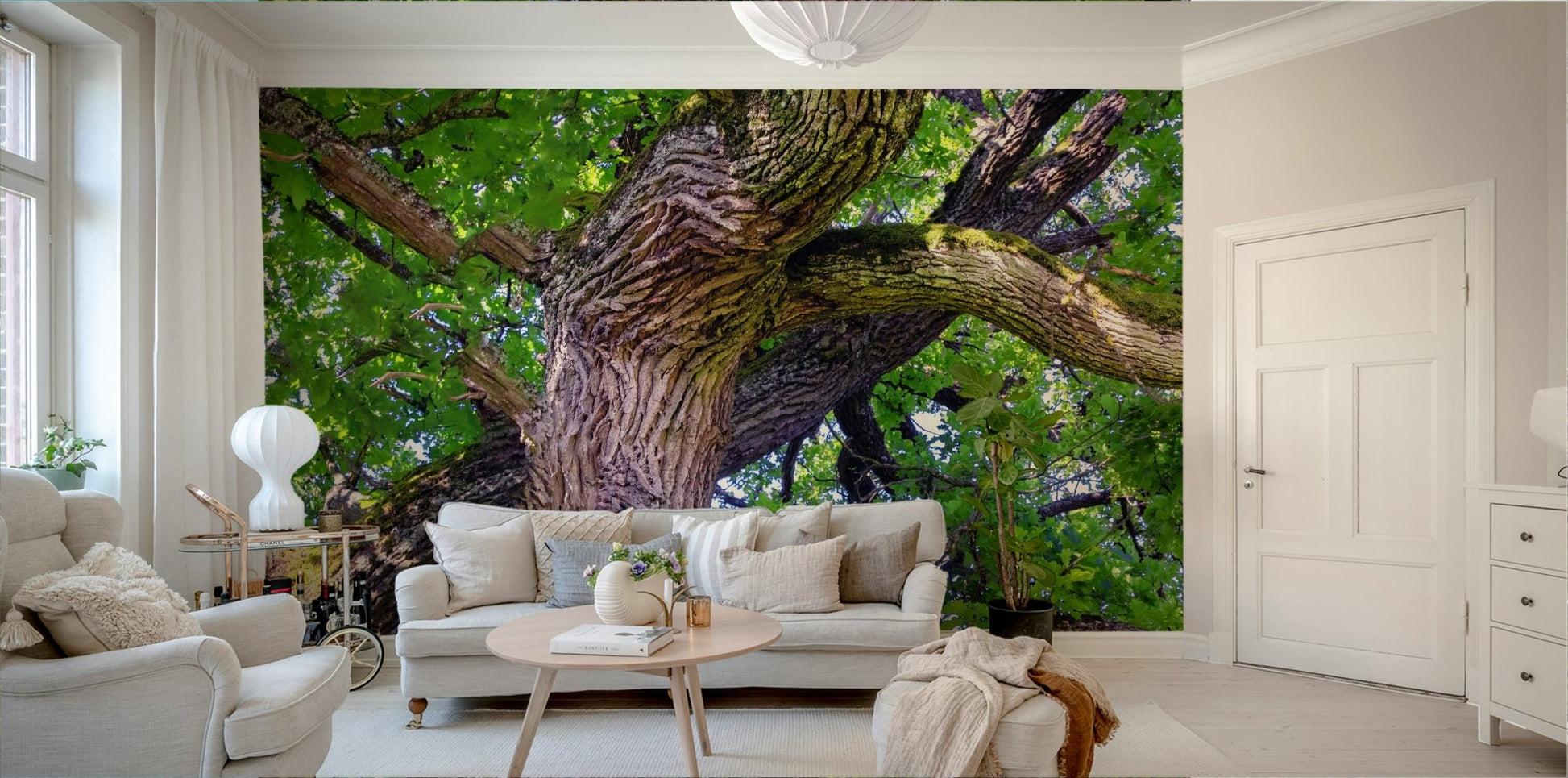 Soft light through tree canopy mural

