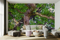 Calm green nature mural wallpaper
