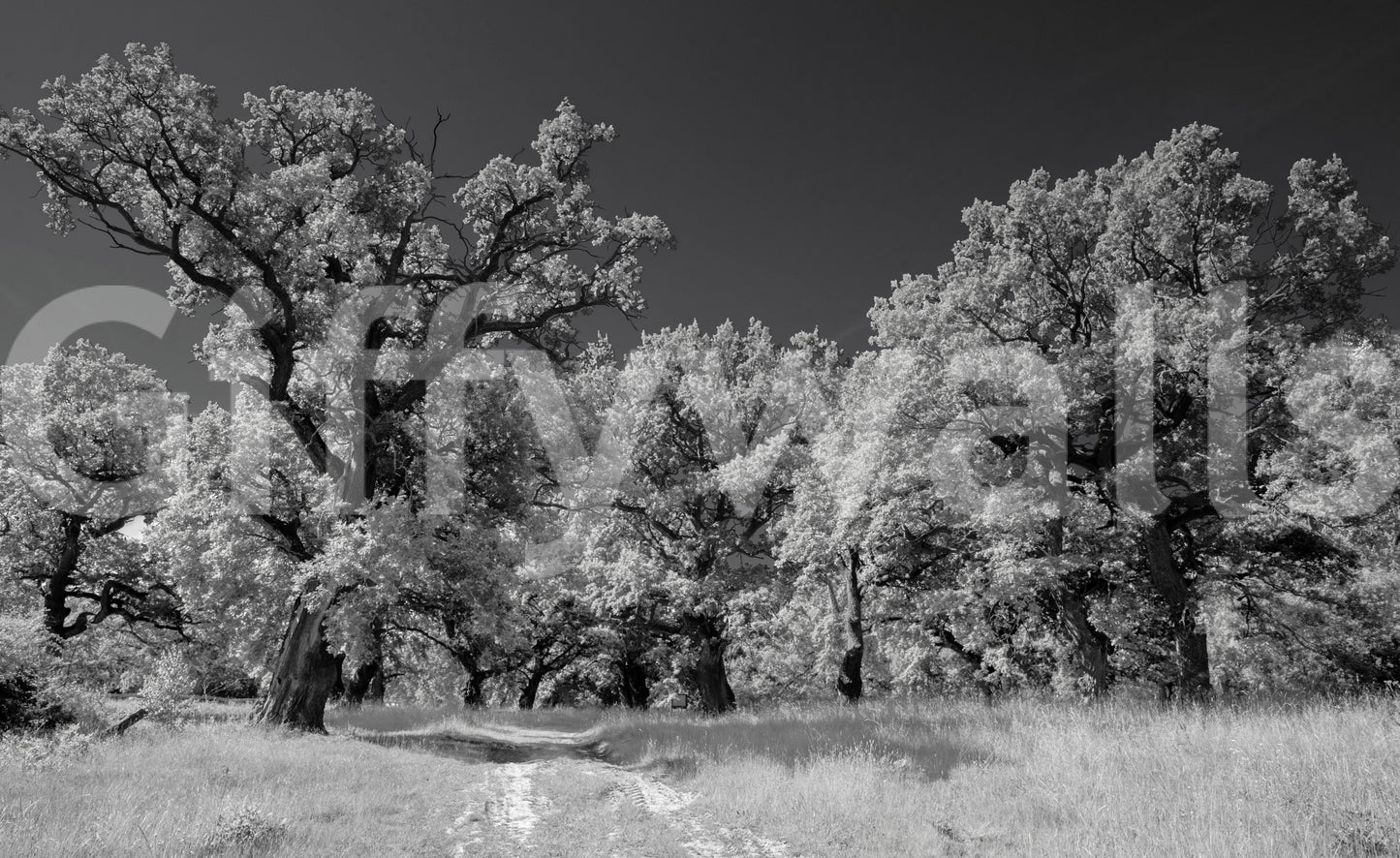 Minimalist black and white mural
