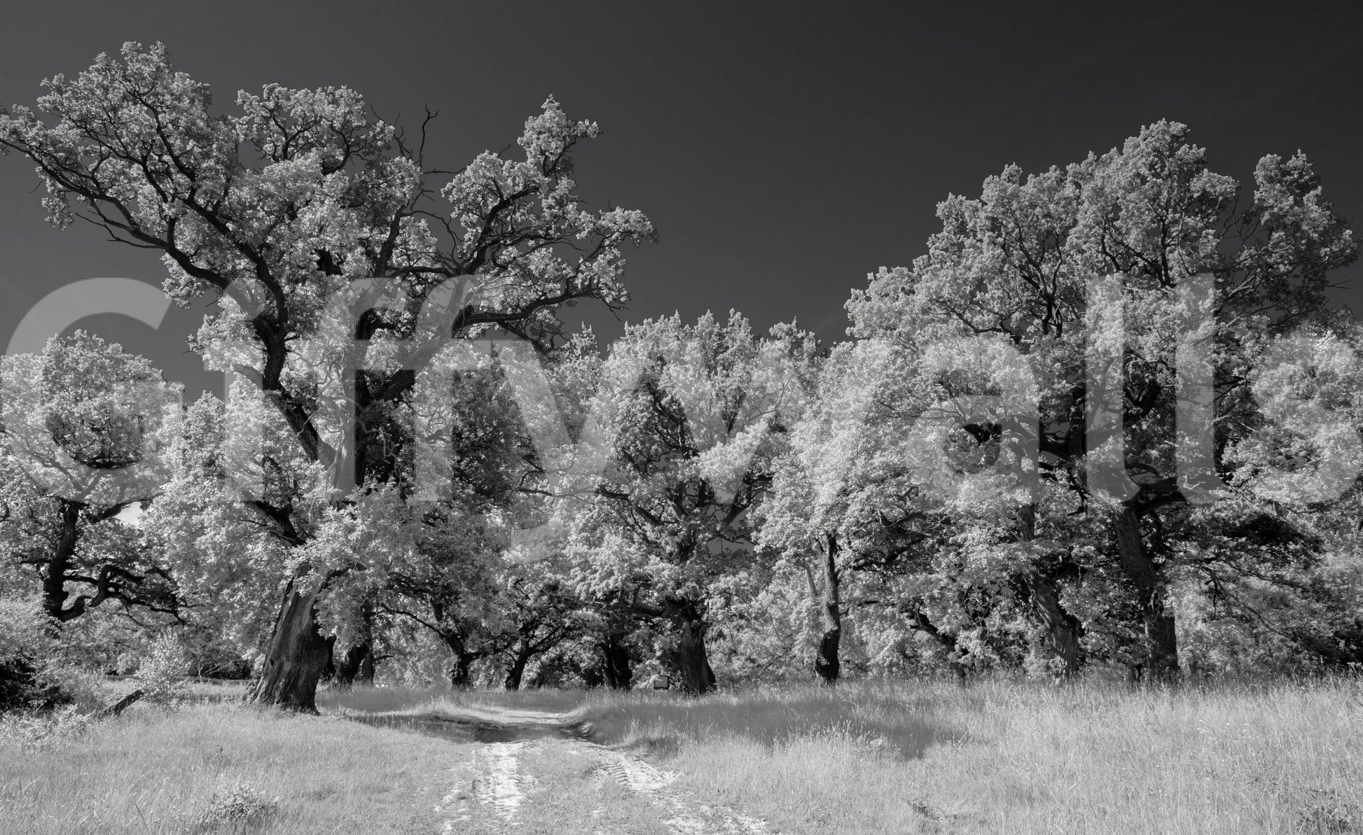 Minimalist black and white mural
