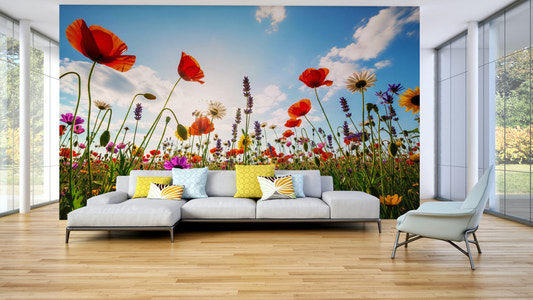 Wall mural with whimsical shapes and colors

