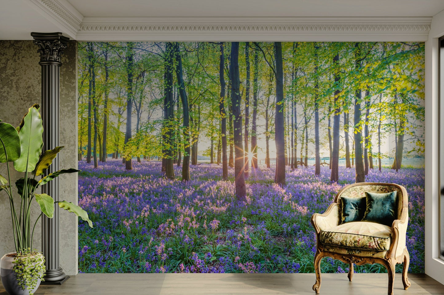 Sunlight filtering through the trees