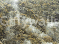 Woodland ambiance Misty Forest Canopy scenic print, foggy underbrush detail.