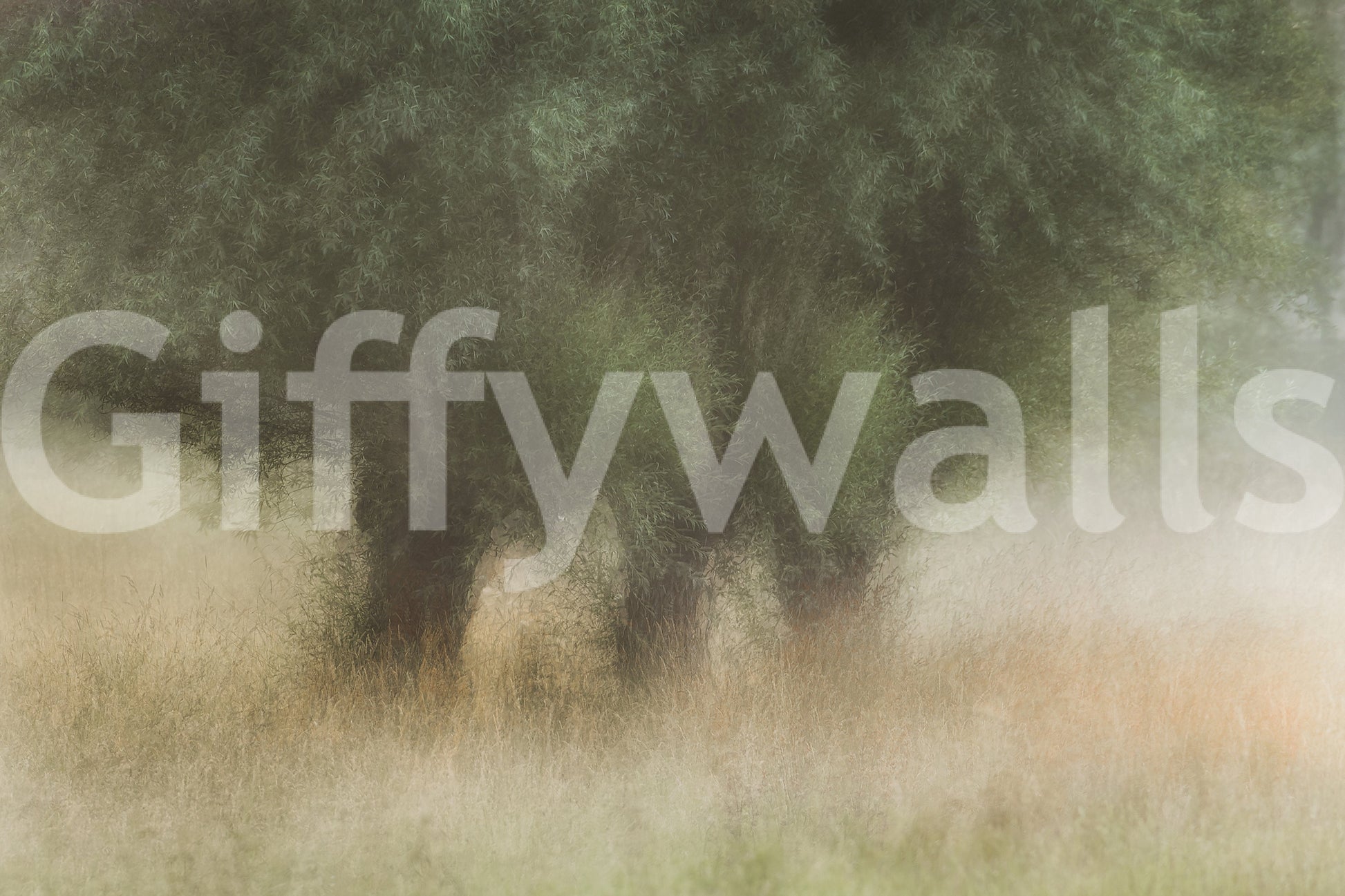 A high-quality minimalist tree wall mural for walls.