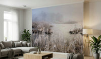 Misty morning wall decor Reeds covered in white frost, silent, calm atmosphere.