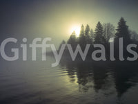 Accent wall mural of misty dawn landscape, modern apartment decor in neutral colors