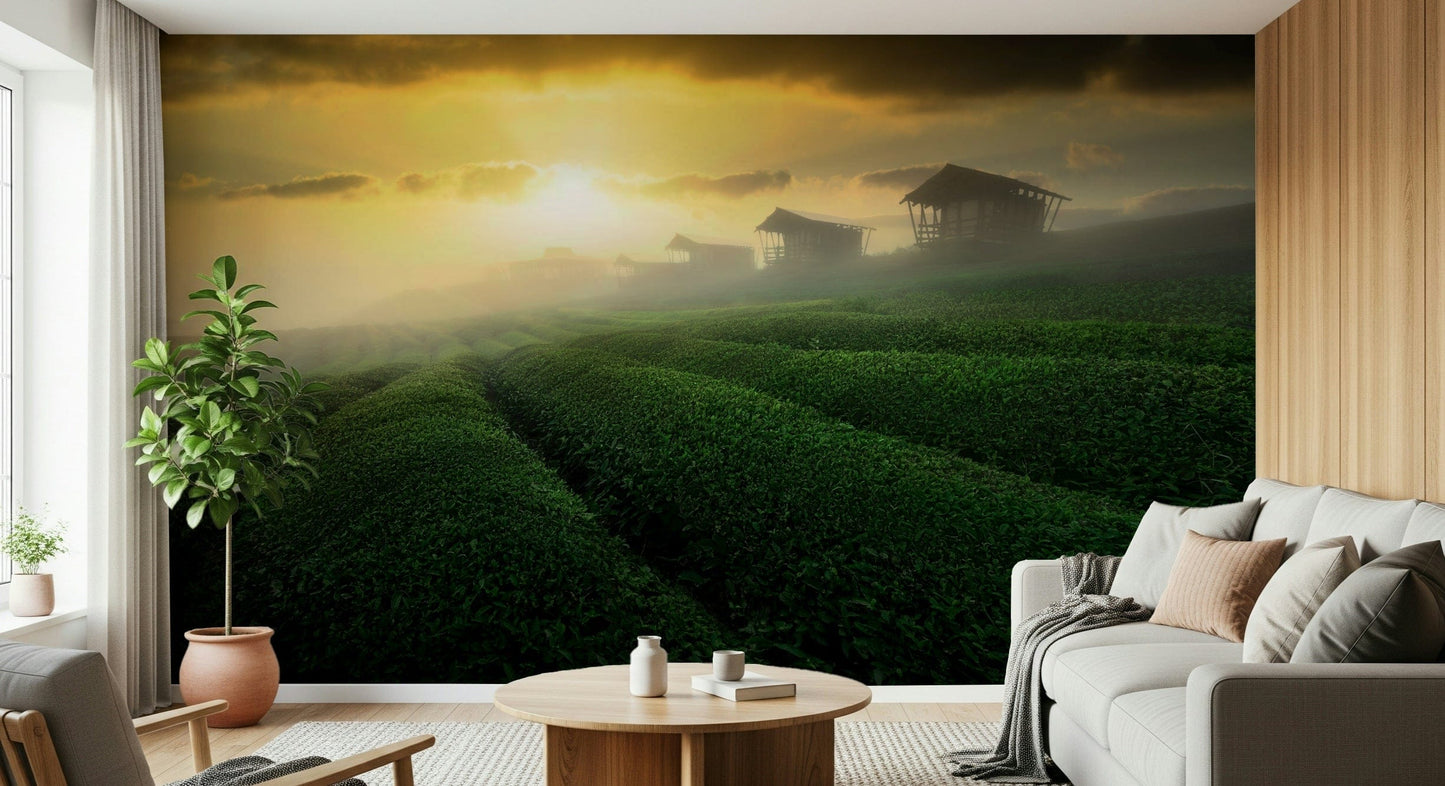Golden Mist Tea Estate Wall Mural -2353176