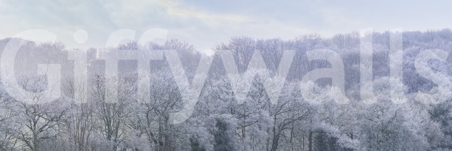 Winter's Whispers Wall Mural