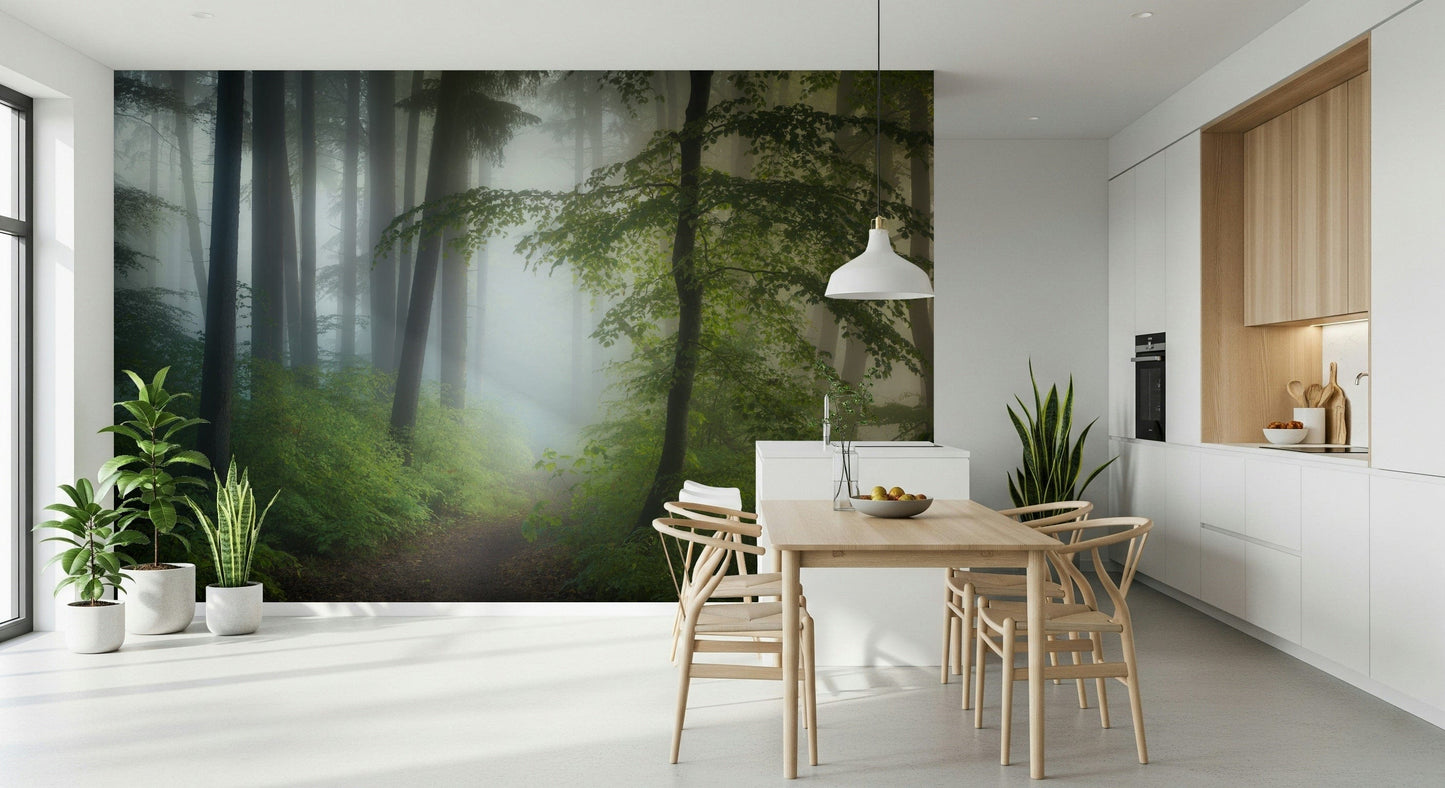 Gothic Misty Woods Escape art, spooky light beech trees wallpaper.