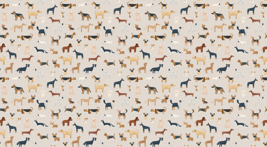 Beige süße Hunde Wallpaper