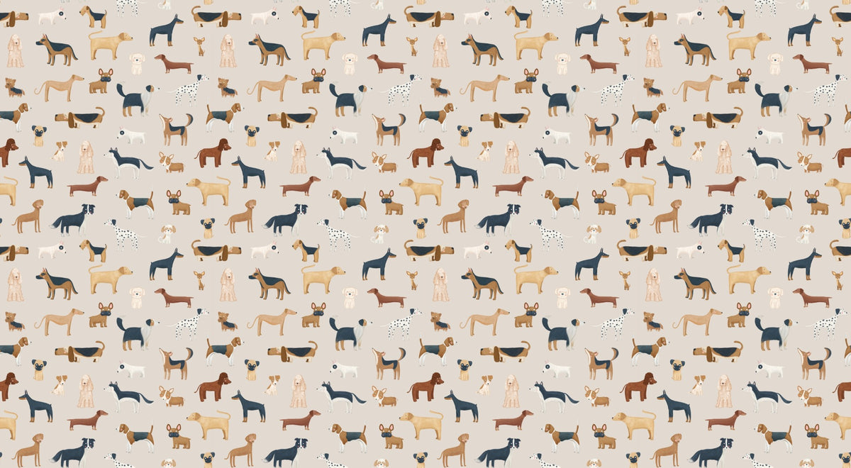 Fond d'écran de chiens mignons beige in your room