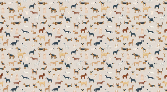 Fond d'écran de chiens mignons beige