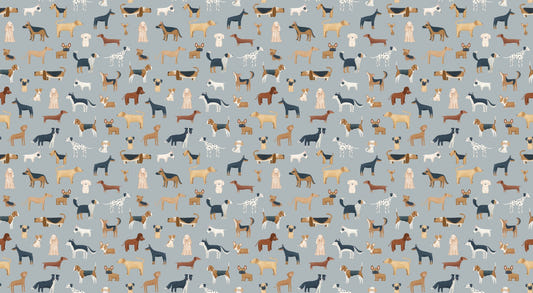 Sfondo per cani grazioso medley blu
