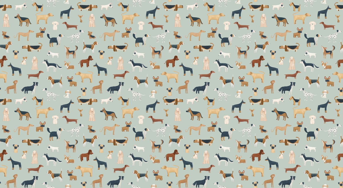 Green Puppy Dog Wallpaper in your room