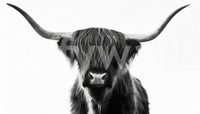 Subtle pastoral feel in monochrome horned cow wallpaper

