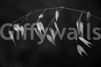 A detail of the organic shapes in the modern design.

